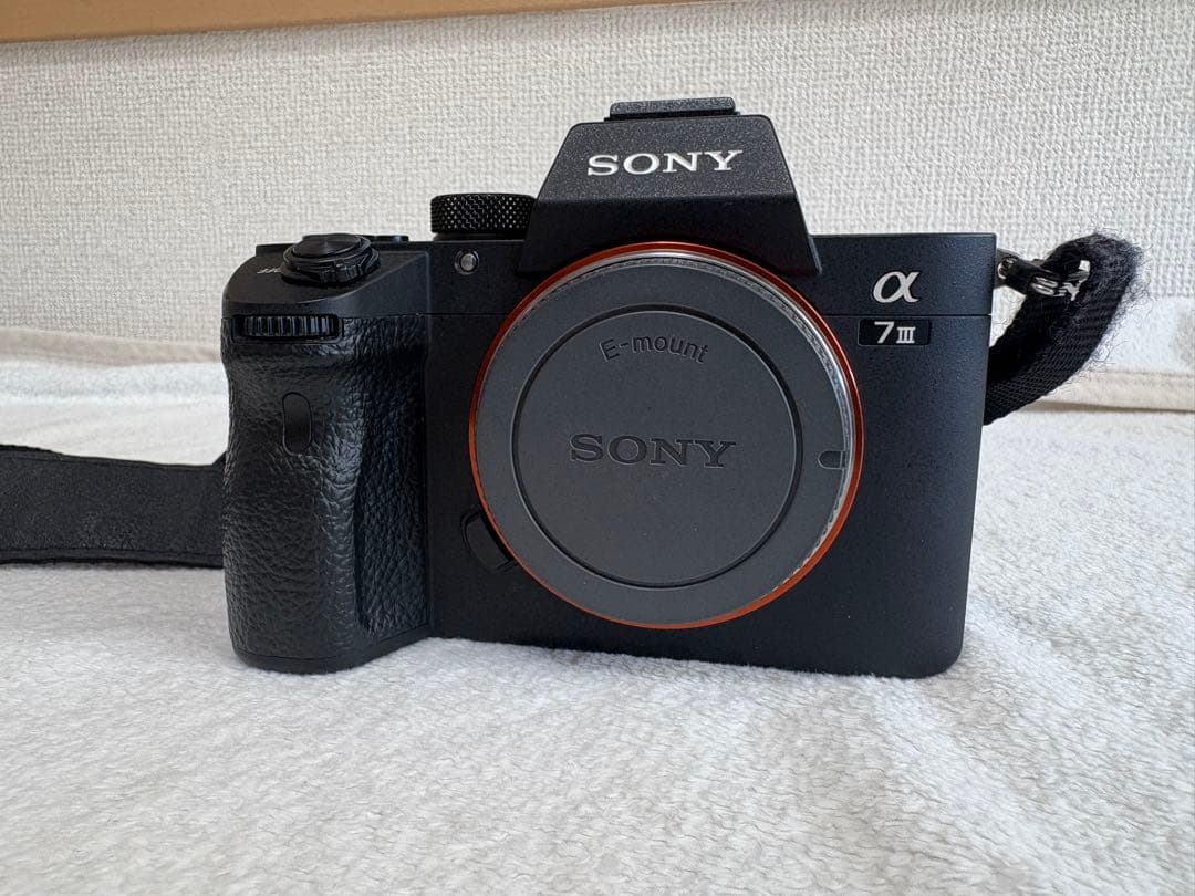 Sony α7 III ＋FE 24-105mmF4G ＋HVL-F46RM