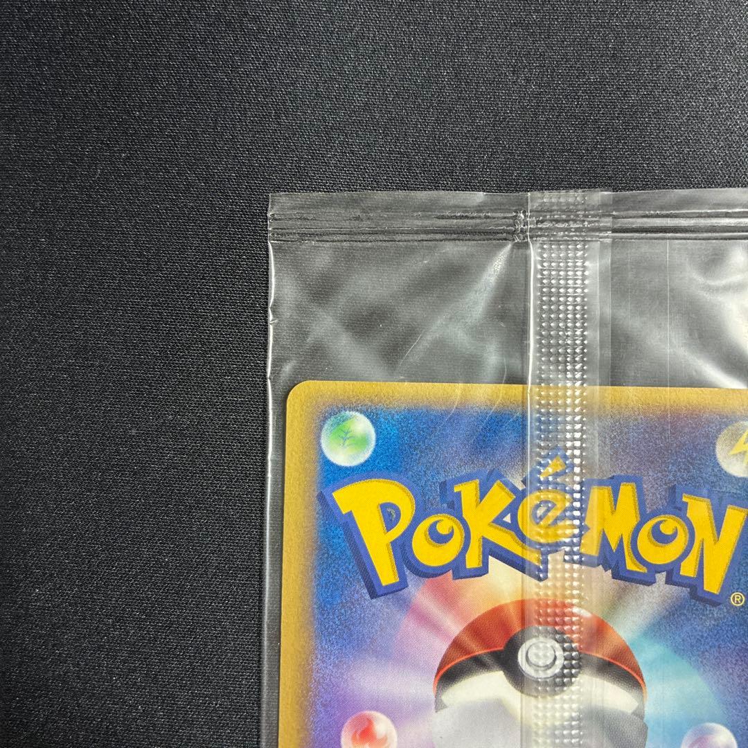 ポケパークのアチャモ　ポケモンカード　ポケパーク　プロモ　ポケカ