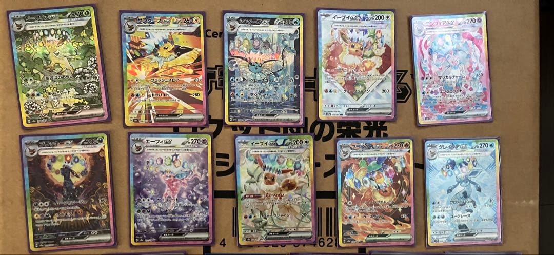 R*様 テラスタルフェス ブイズSAR１０枚セット