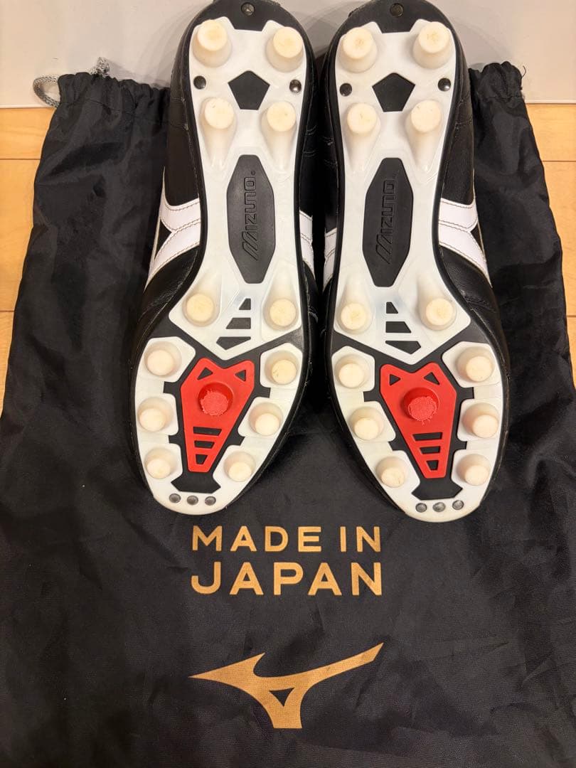 モレリア2 クロスステッチ　25 25.0