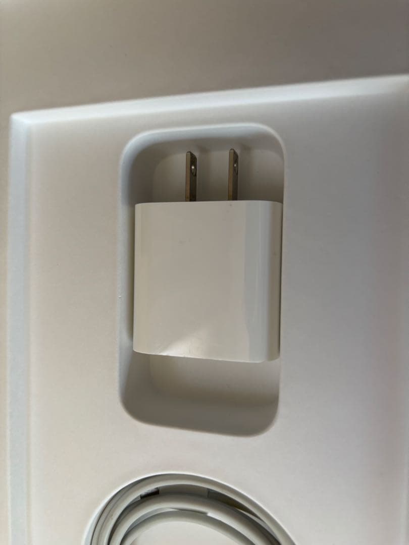 iPad Air 第四世代　256GB wi-fiモデル（スカイブルー）