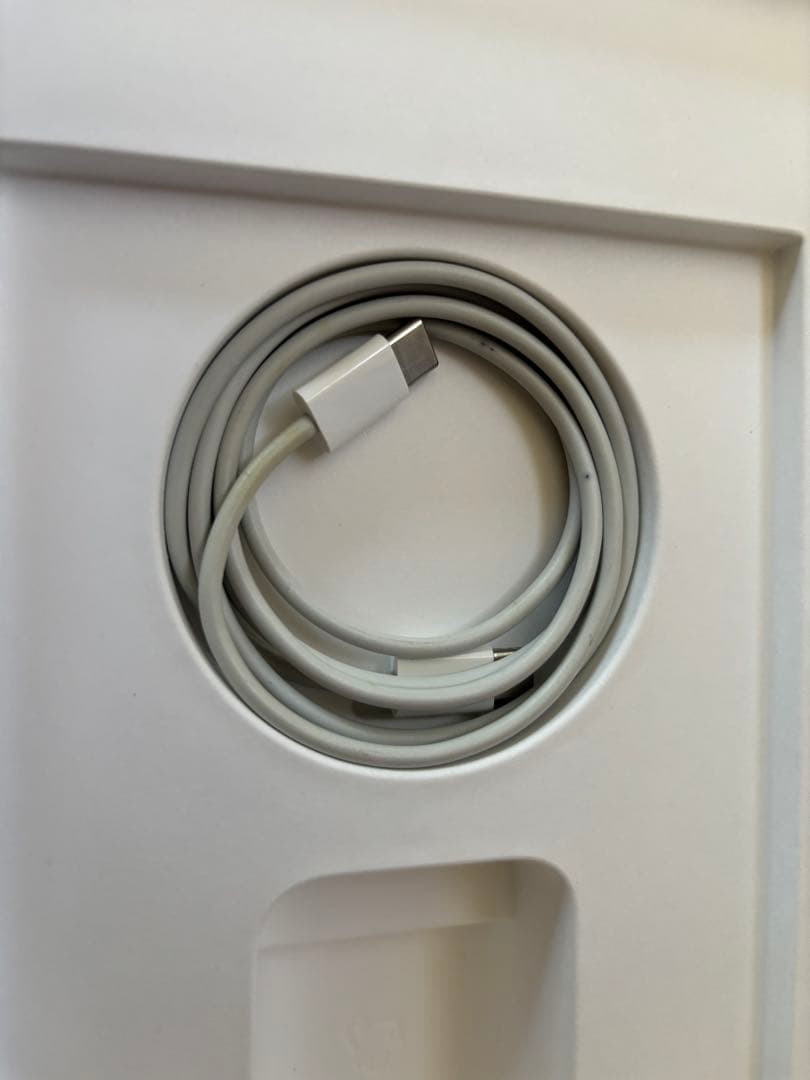 iPad Air 第四世代　256GB wi-fiモデル（スカイブルー）