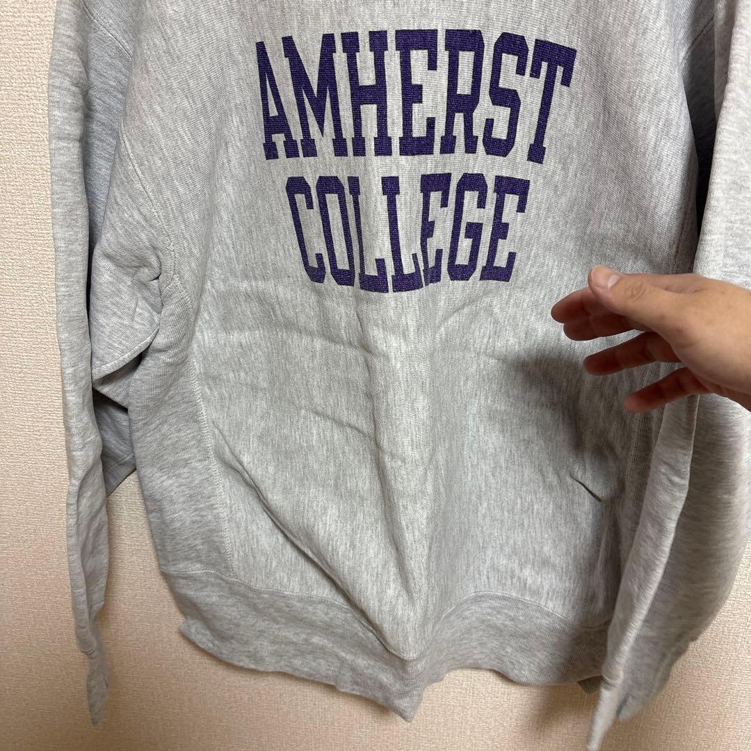 激レア！袖目無しでパープル2段染み込みプリント！！チャンピオン80sトリコタグ！