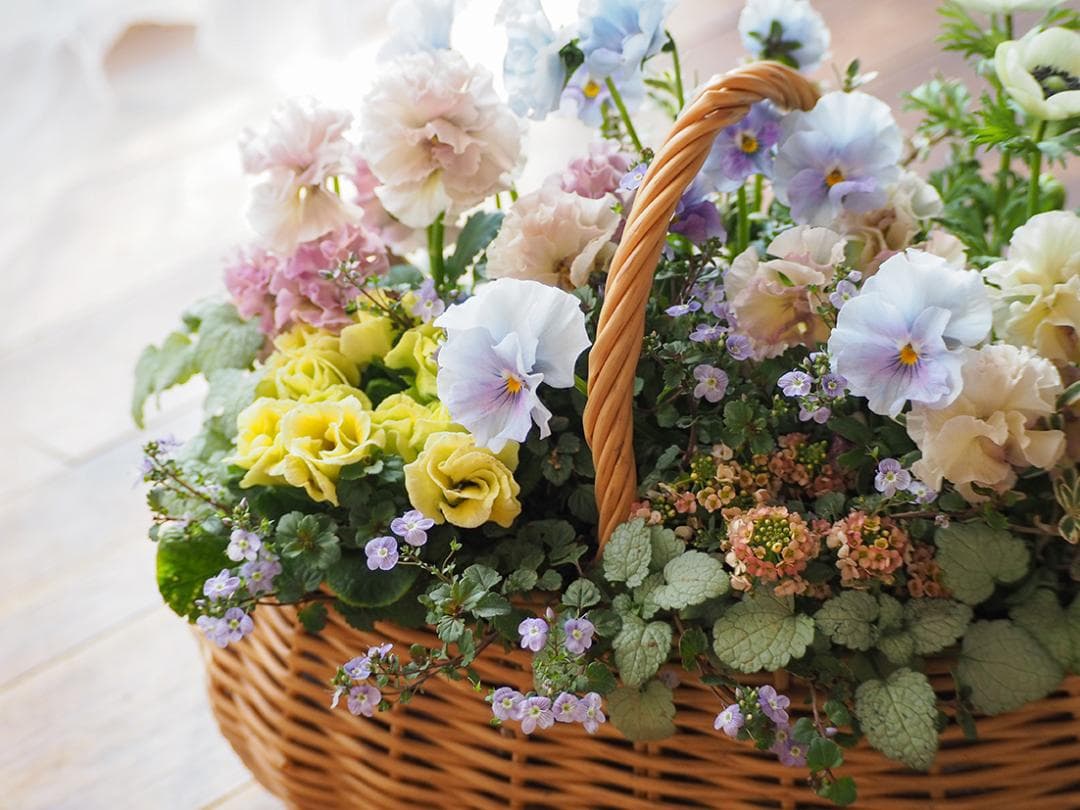 オーバルバスケットのパステルカラー寄せ植え