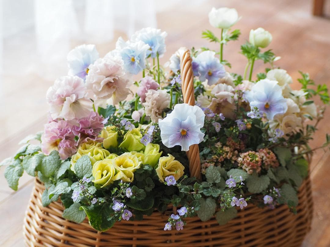 オーバルバスケットのパステルカラー寄せ植え