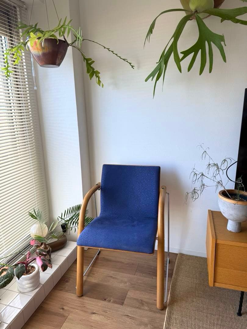 ダイニングチェア vintage thonet chair