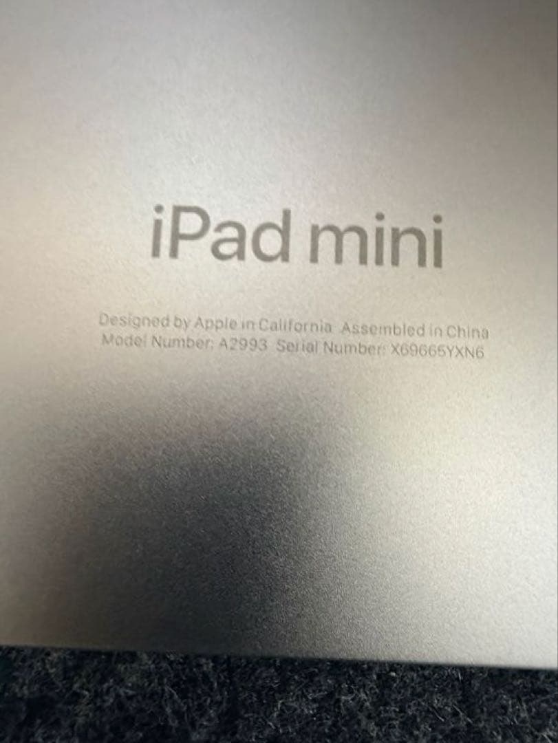 iPad mini (A17 pro) 128GB スペースグレー カバー付き