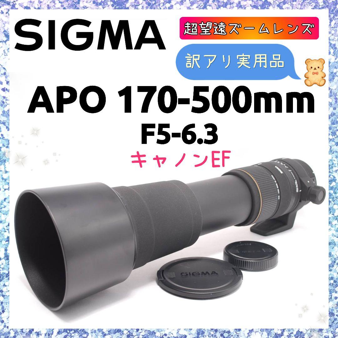 ❤即購入1000円OFF❤訳アリ品❤ SIGMA 170-500mm Canon