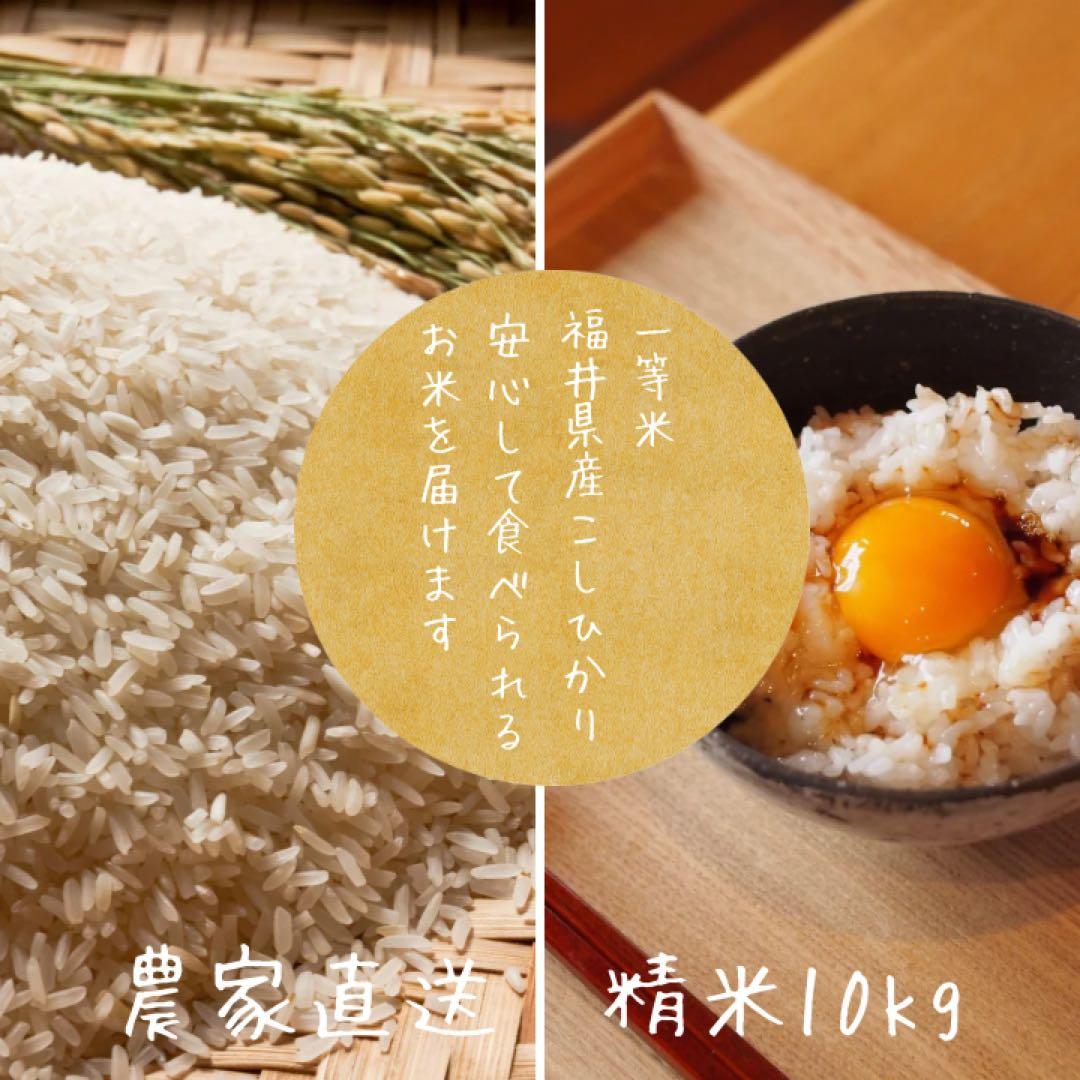 【3月16日まで期間限定価格】一等米福井県産コシヒカリ10kg