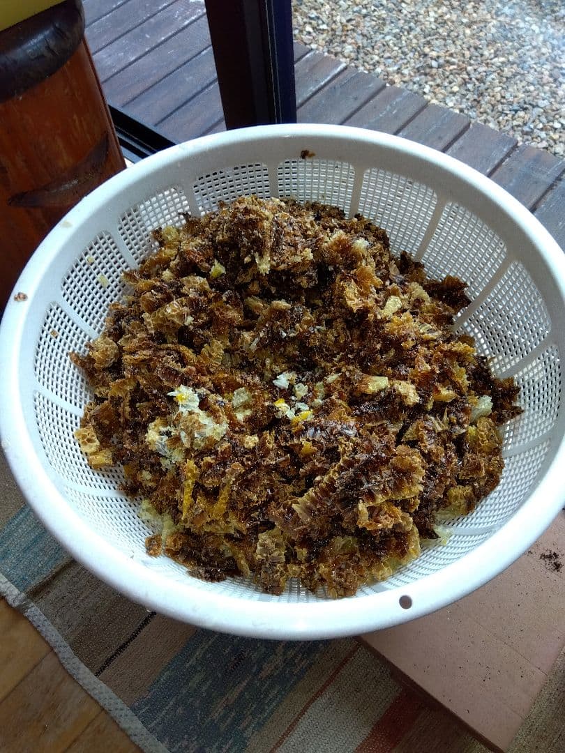 自家製日本みつばちの蜂蜜　１㌔