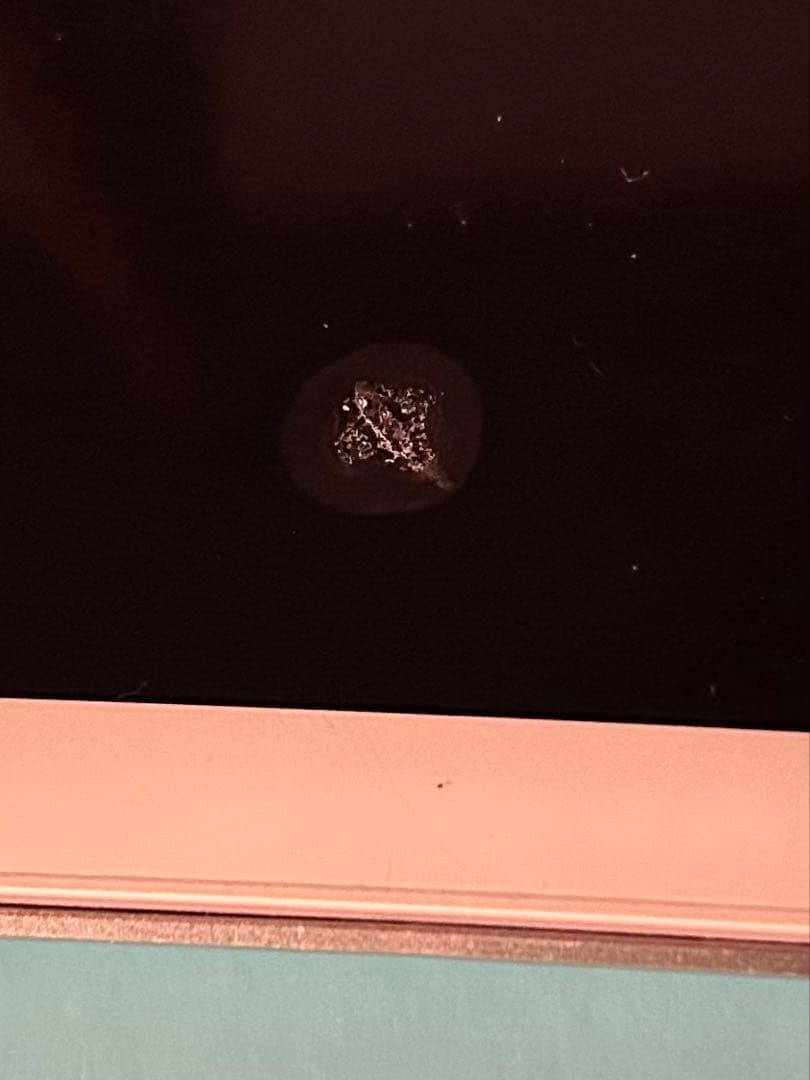 Apple iPad (第6世代) 本体のみ