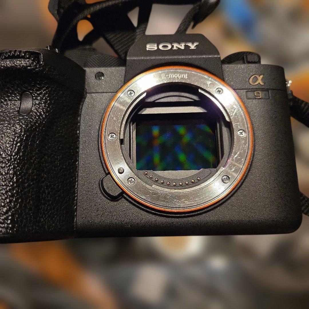 (良品) ILCE-9M2 α9Ⅱボディ 斜め掛けストラップ&カメラカバー付