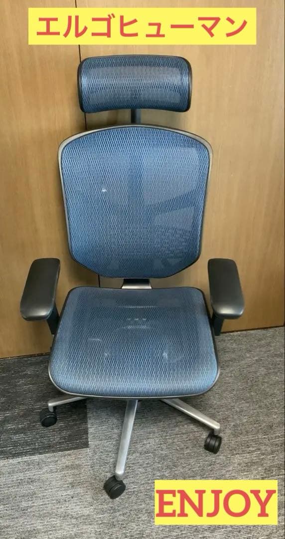 Q*送様 エルゴヒューマン エンジョイ enjoy