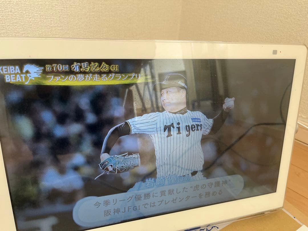 Panasonic プライベートビエラ　ポータブルテレビ UN-15T7