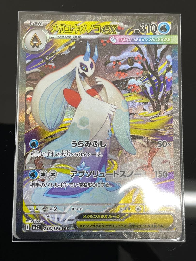 Y*Y様 センタリング良メガカイリュー 、Nのゾロアーク、メガユキメノコ　SAR