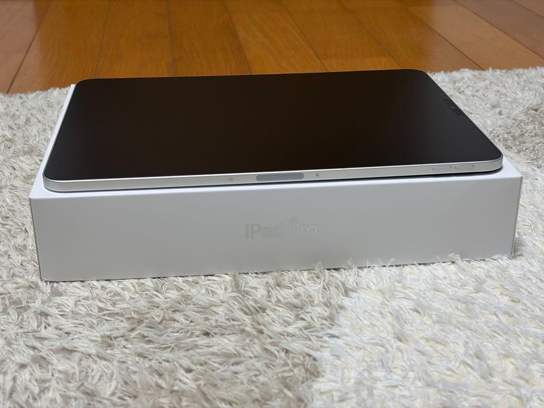 Apple iPad Pro 11インチ 第2世代 128GB Wi-Fi