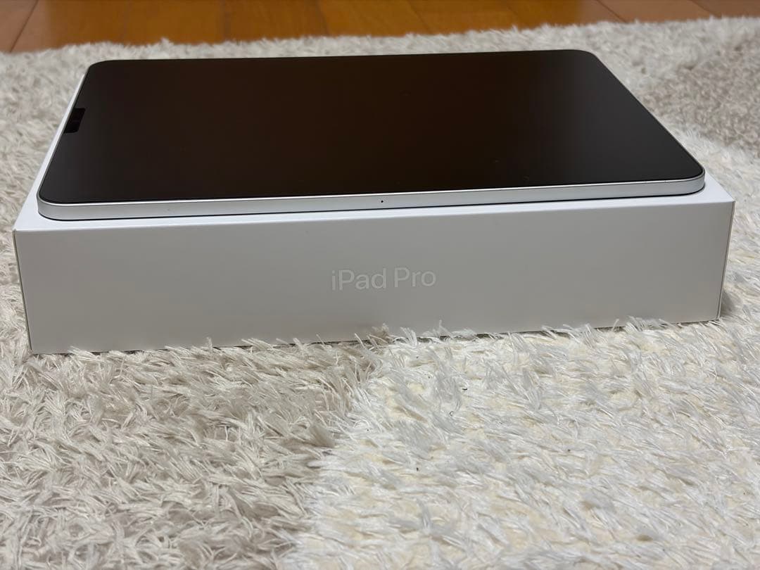 Apple iPad Pro 11インチ 第2世代 128GB Wi-Fi