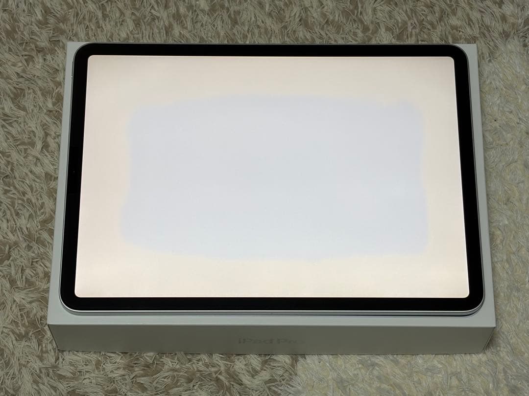 Apple iPad Pro 11インチ 第2世代 128GB Wi-Fi