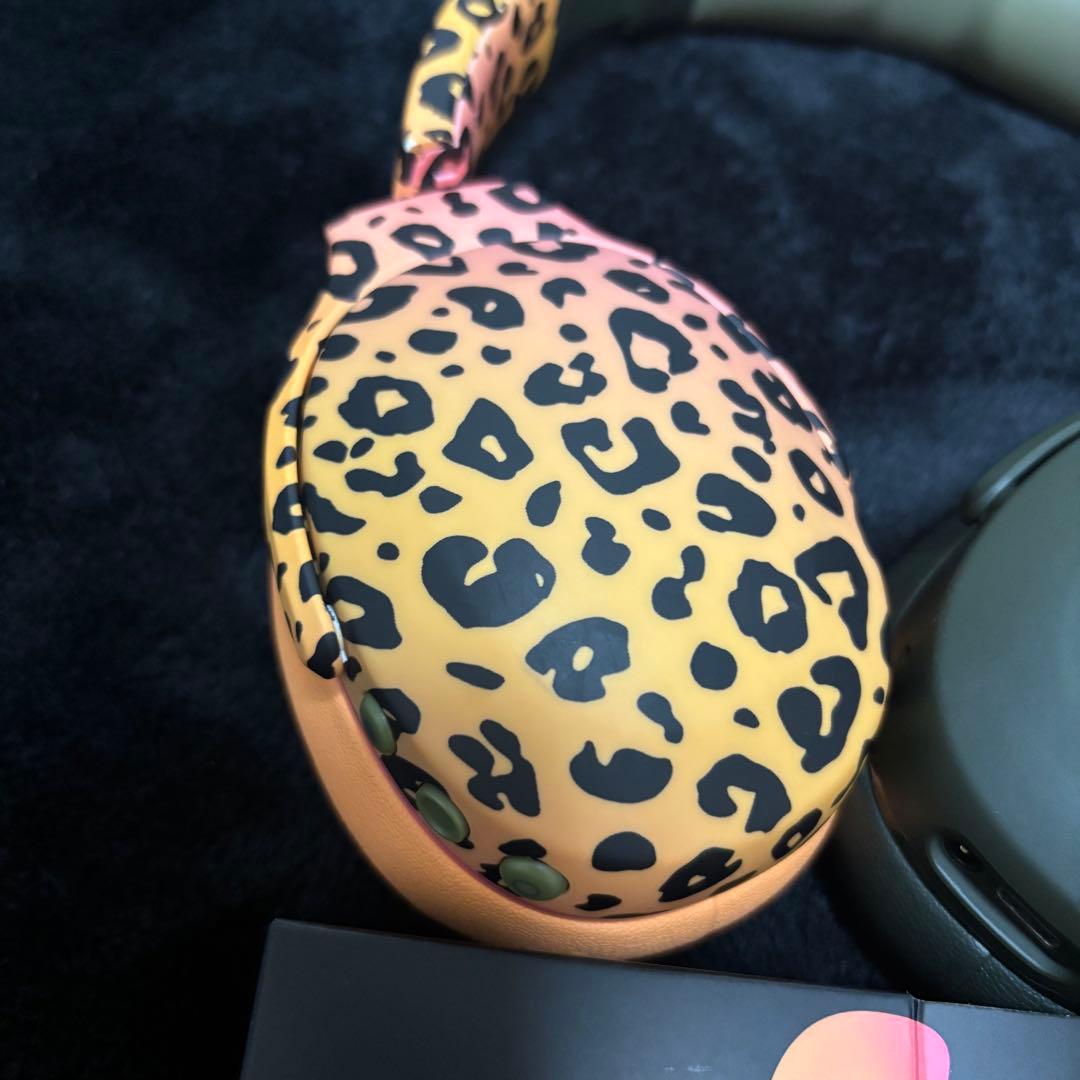 ヘッドホン Skullcandy Burton Crusher Evo