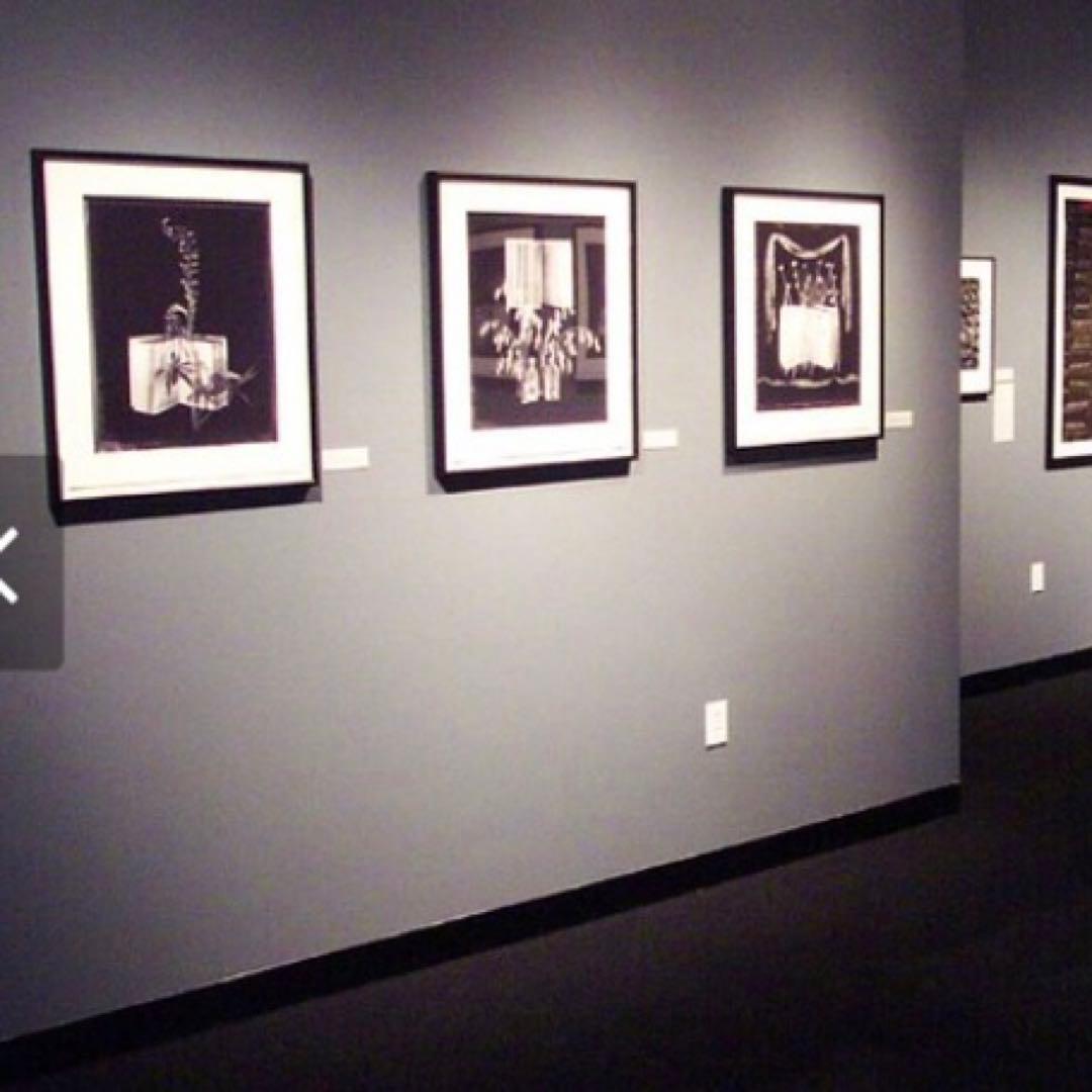 Vaughn Sills 「Beyond Words」アートフォト　写真