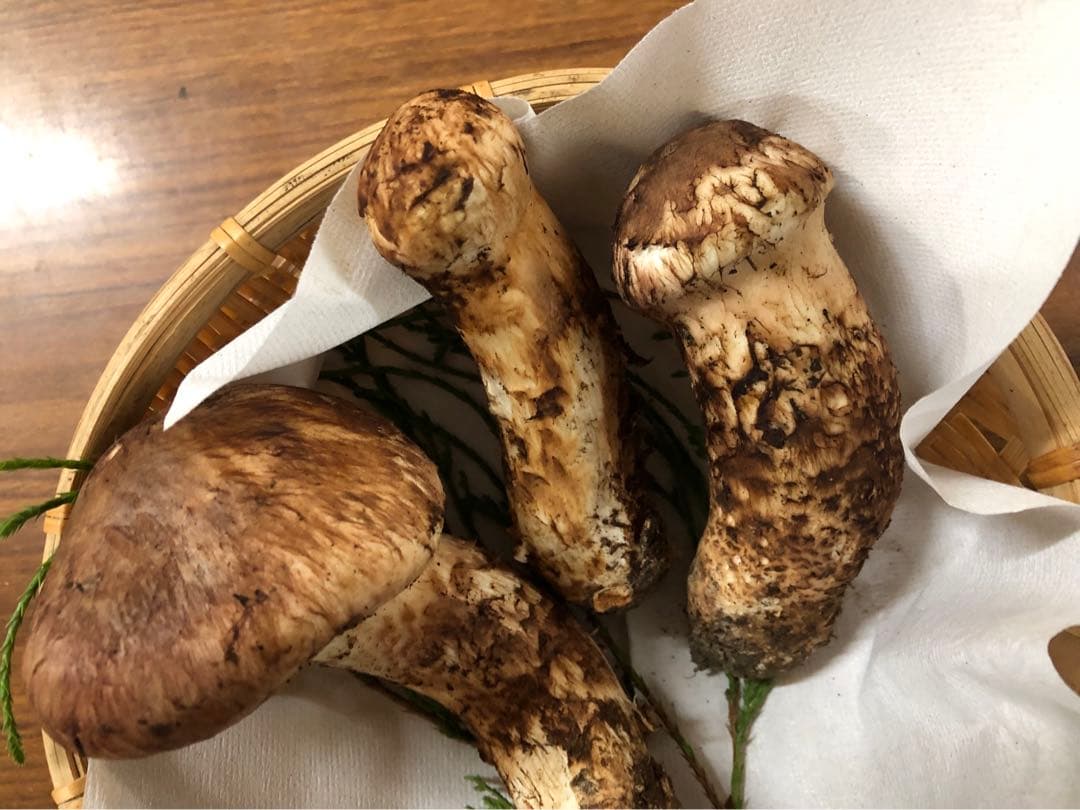 岩手県産　上物天然松茸（251.5g）