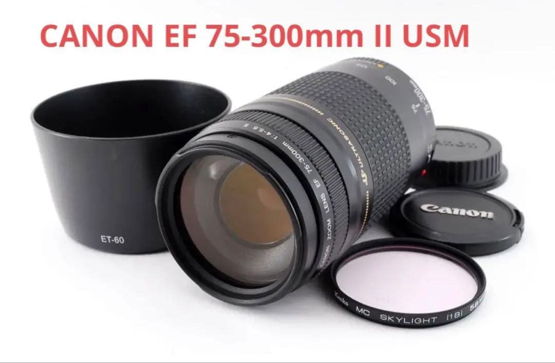 デジタル一眼レフカメラ　CANON EF 75-300mm II USM