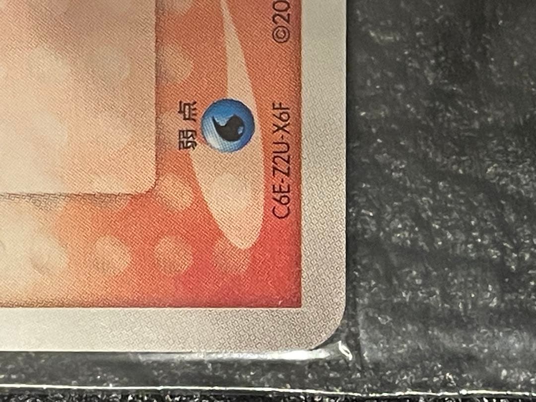 た*こ様 ポケパークのアチャモ