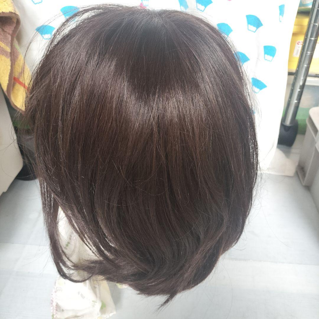 新品未使用 医療用ウィッグ ラフラ RM24NG カラー F10