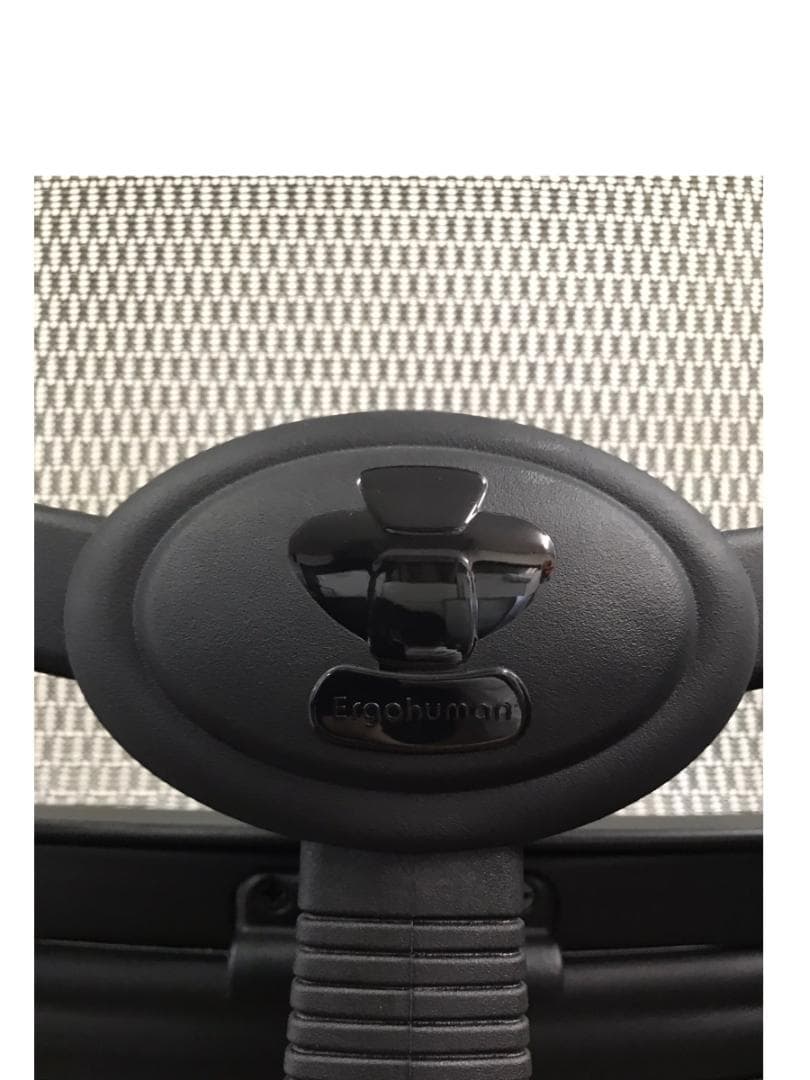 エルゴヒューマン◆チェア メッシュ オットマン プロ JOIFA 802