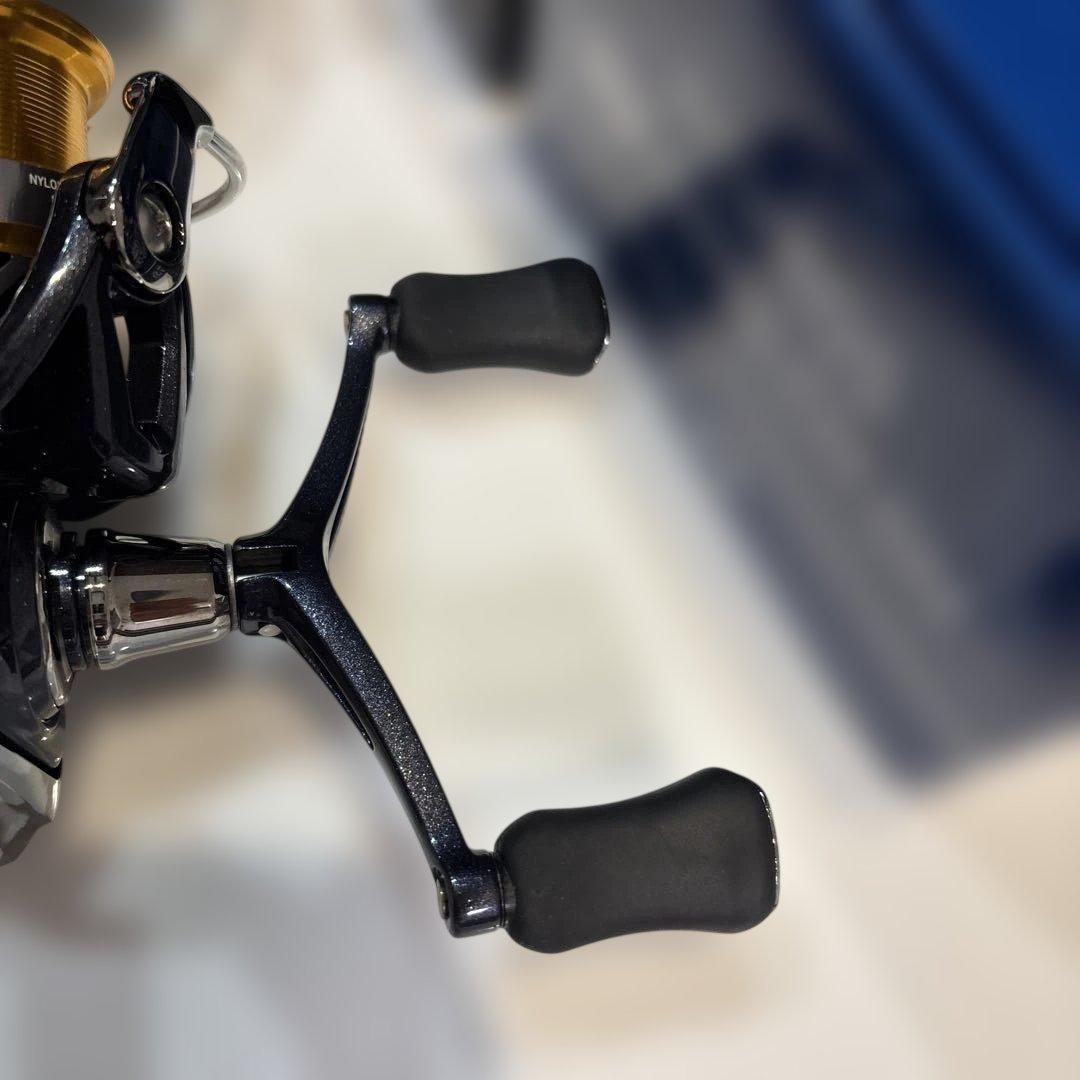 ダイワ 20レブロス LT3000S-CH-DH 21ネクサーブ C3000HG