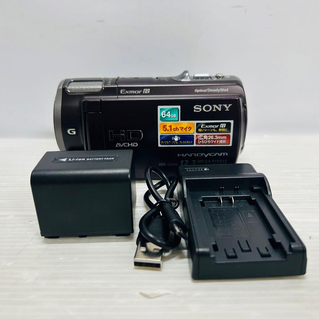 ★美品★ SONY Handycam HDR-CX560BRビデオカメラ176