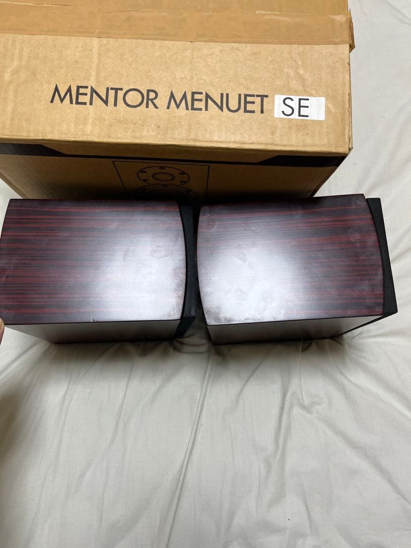 スピーカー・ウーファー Dali MENTOR MENUET se