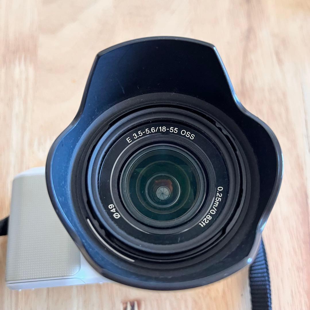 【ピンクの猫】SONY NEX-3 18-55mm F3.5-5.6