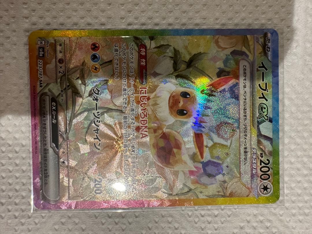 ブイズsarセット