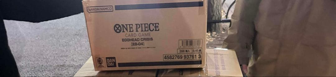 ワンピースカードゲーム EGGHEAD CRISIS (EB-04)12ボックス