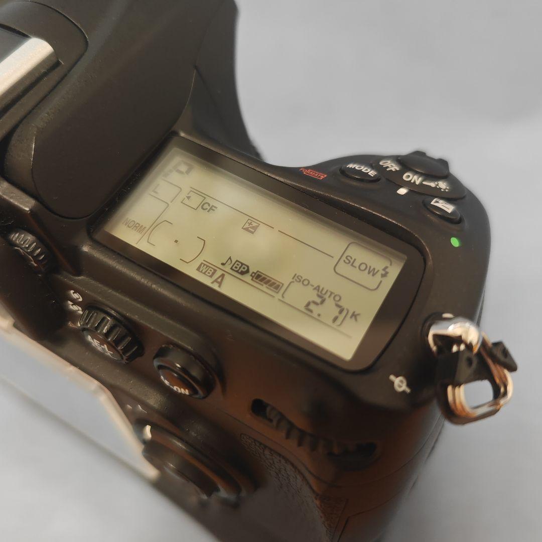 Nikon D300s グリップ付き