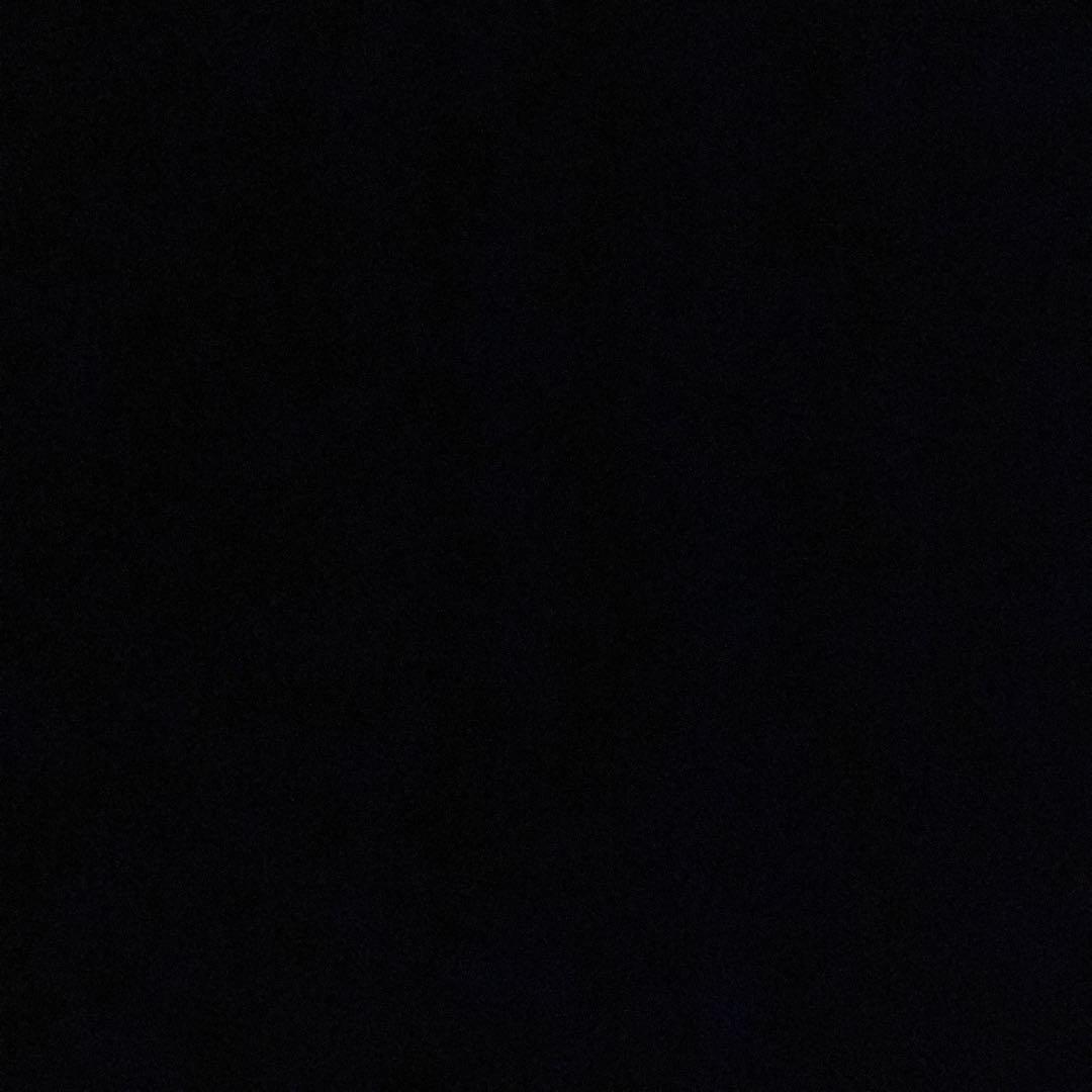 スティーブさま専用