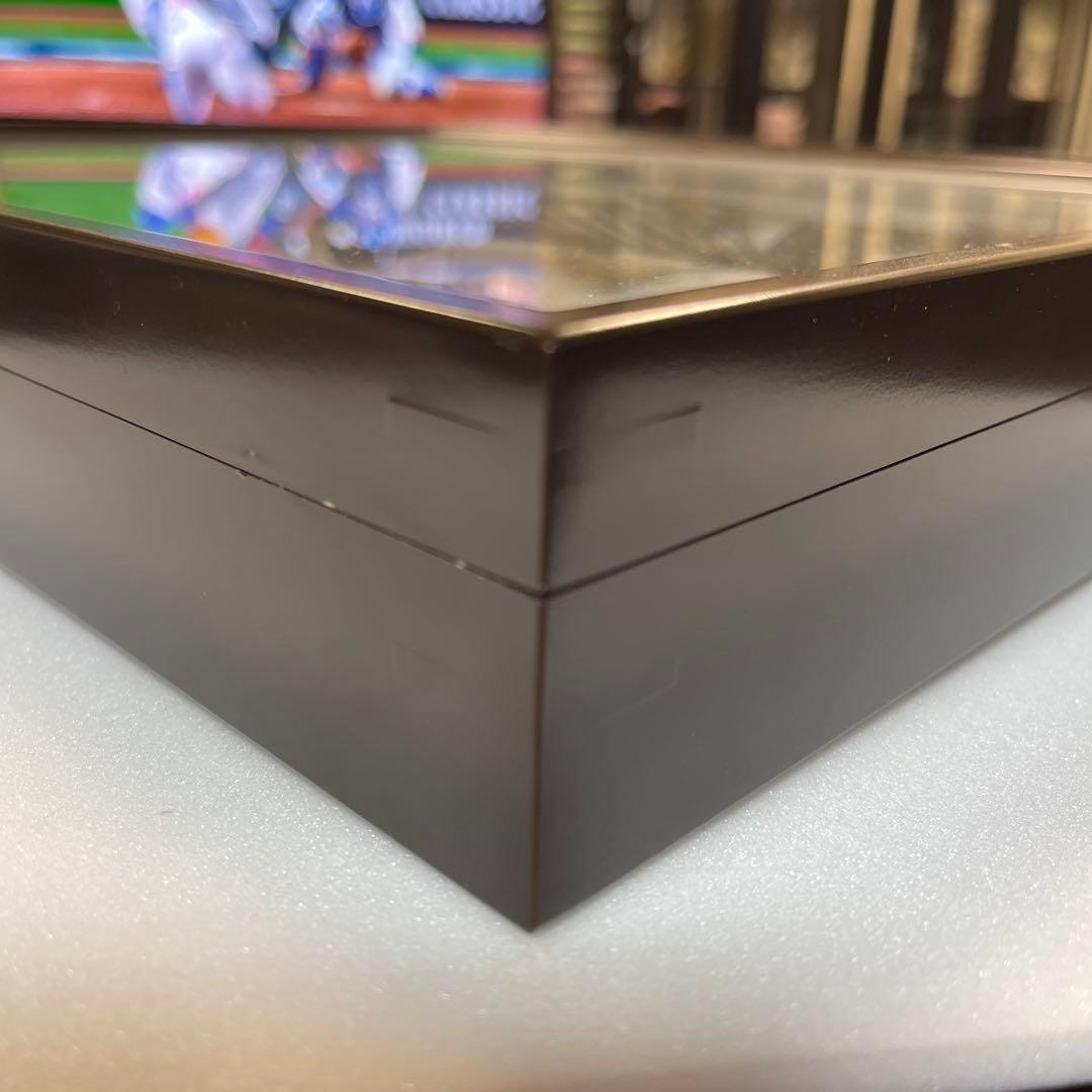 キシタアゲハ　11頭