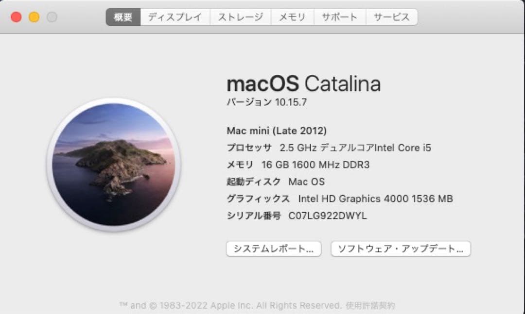Mac mini 6.1 メモリ16GB ストレージ1TB + 500GB