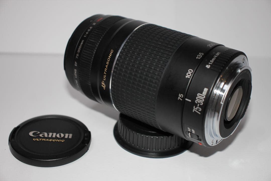☆超望遠レンズ☆一眼レフカメラ☆Canon EF75-300㎜I USM ☆