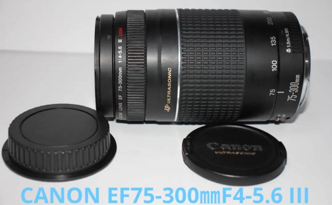☆超望遠レンズ☆一眼レフカメラ☆Canon EF75-300㎜I USM ☆