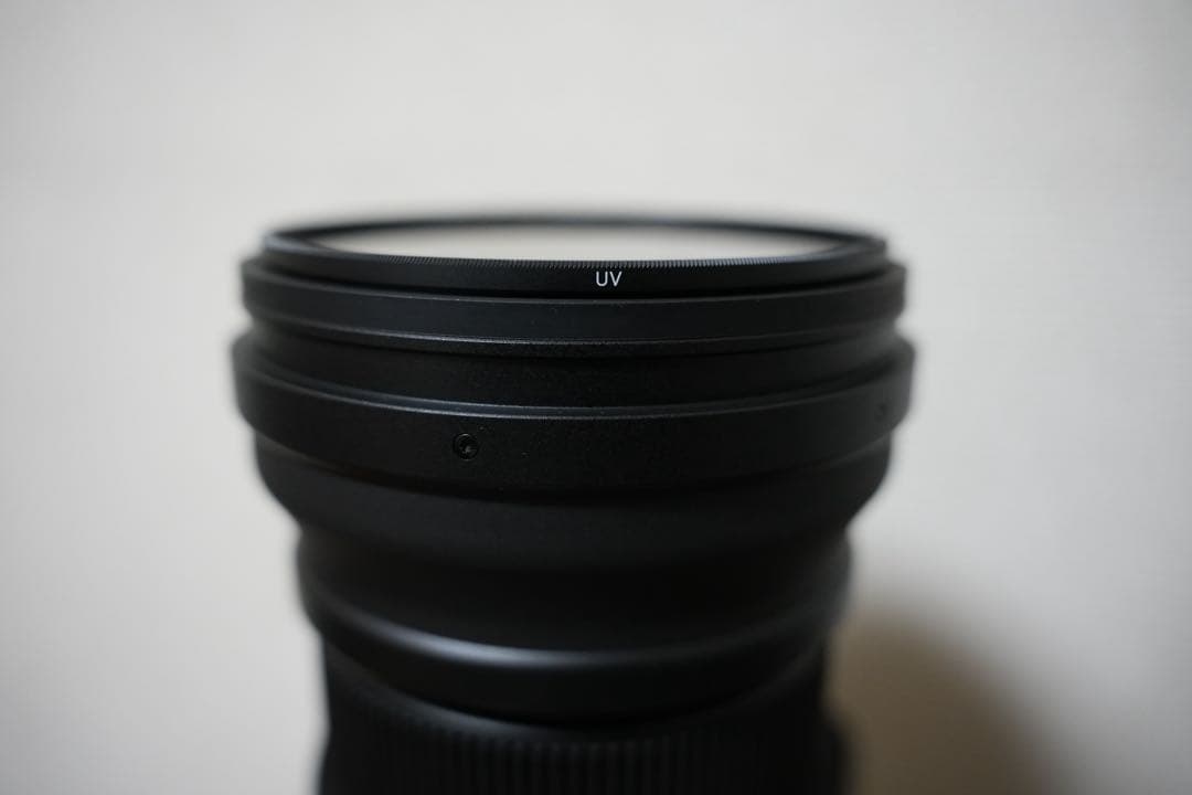 SIGMA 150-600mm F5-6.3 DG DN OS Eマウント