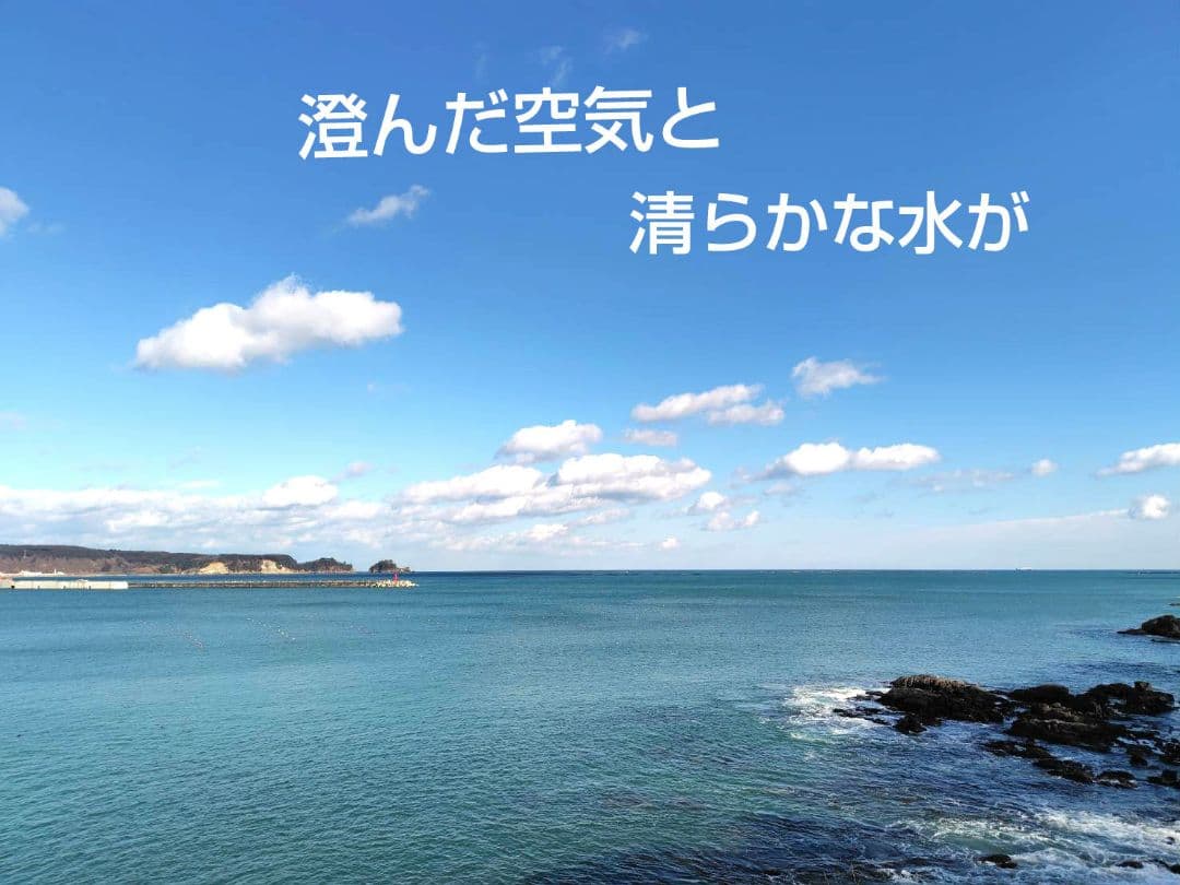 つきあかり10kg　岩手県産 令和６年産 減農薬 玄米 希少米