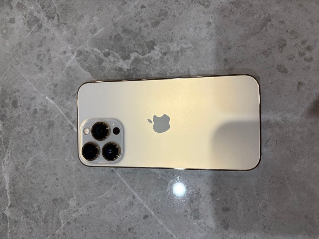 Apple iPhone13Proゴールド 充電ケーブル付き