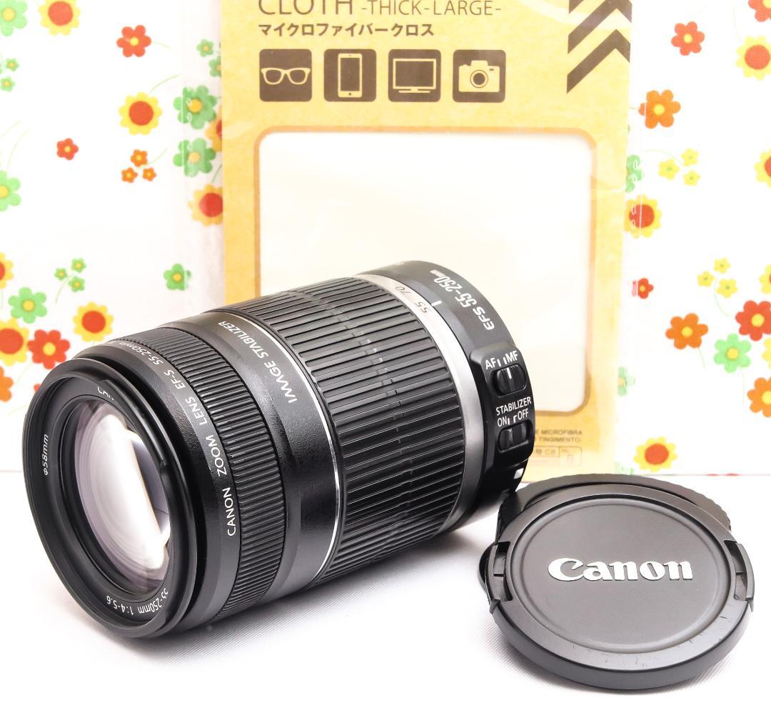 Canon EF-S 55-250mm IS☆遠くもくっきり残せる望遠レンズ