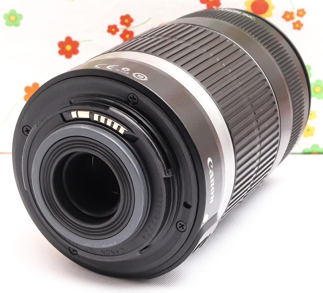 Canon EF-S 55-250mm IS☆遠くもくっきり残せる望遠レンズ