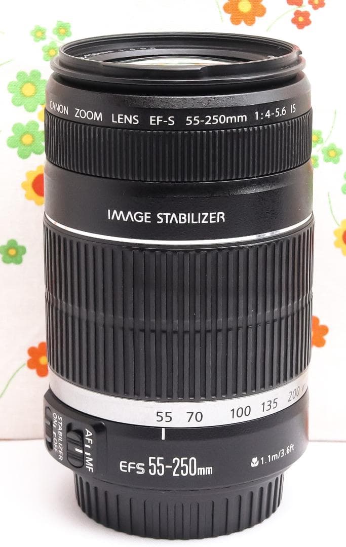 Canon EF-S 55-250mm IS☆遠くもくっきり残せる望遠レンズ