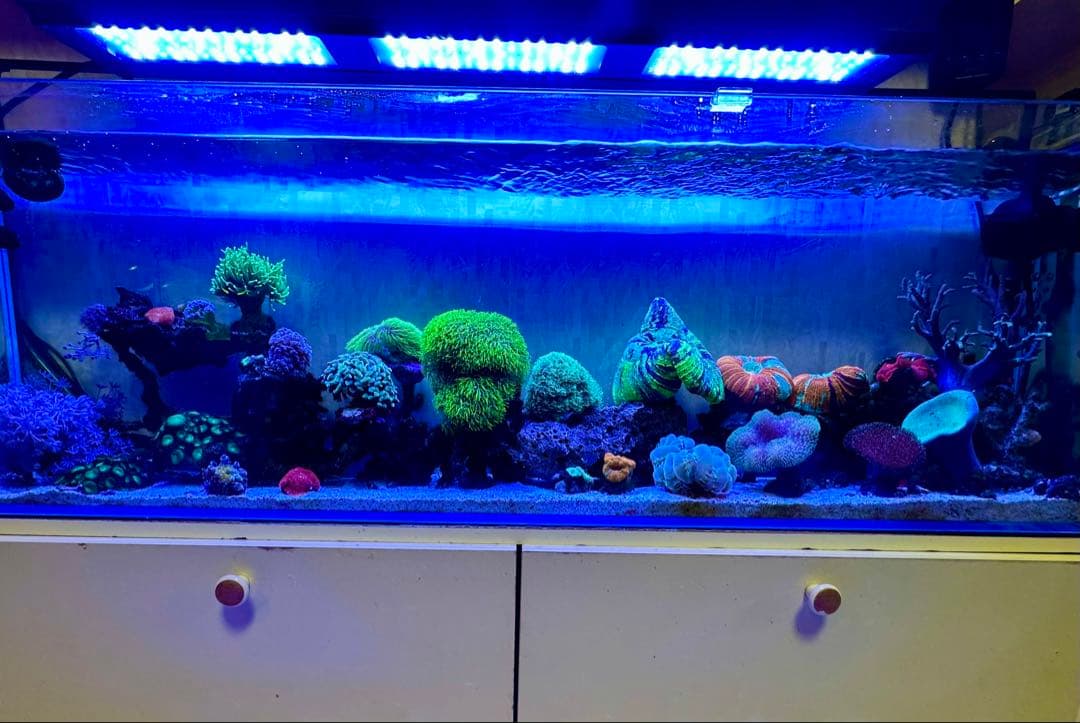 リポビタンD様　7種