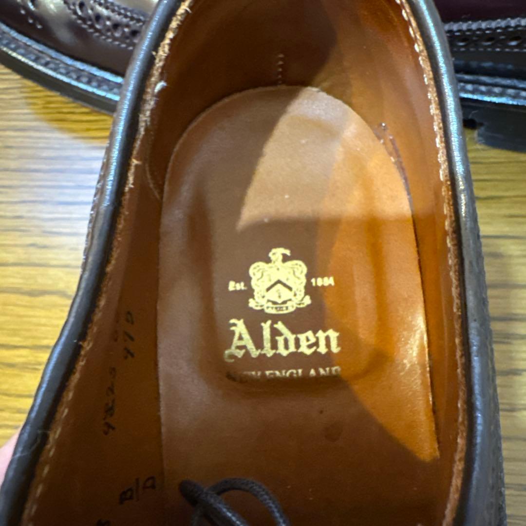 【極美品】Alden オールデン975 ロングウィングチップ8D コードバン