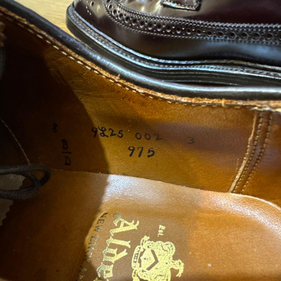 【極美品】Alden オールデン975 ロングウィングチップ8D コードバン